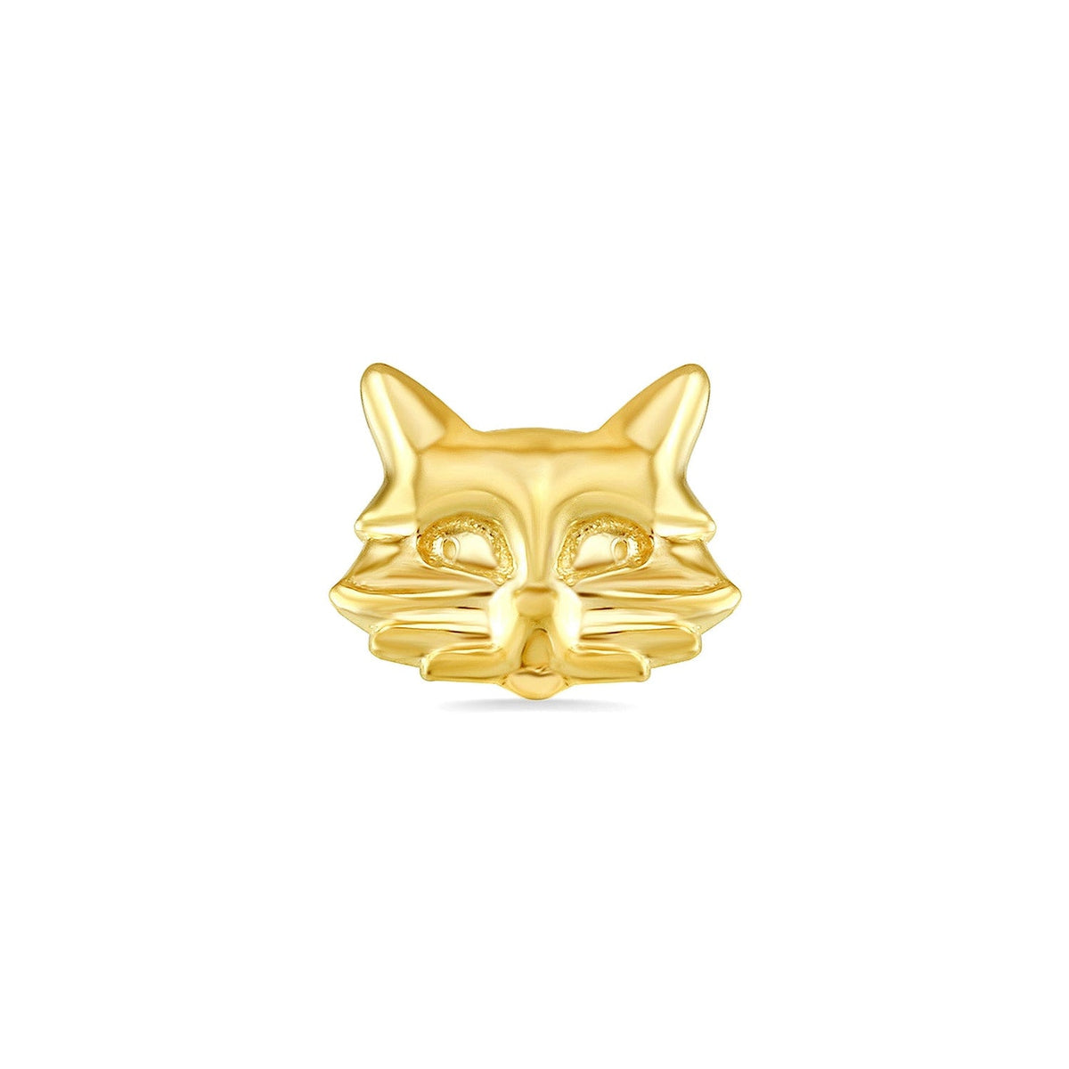 Cat — NorVoch
