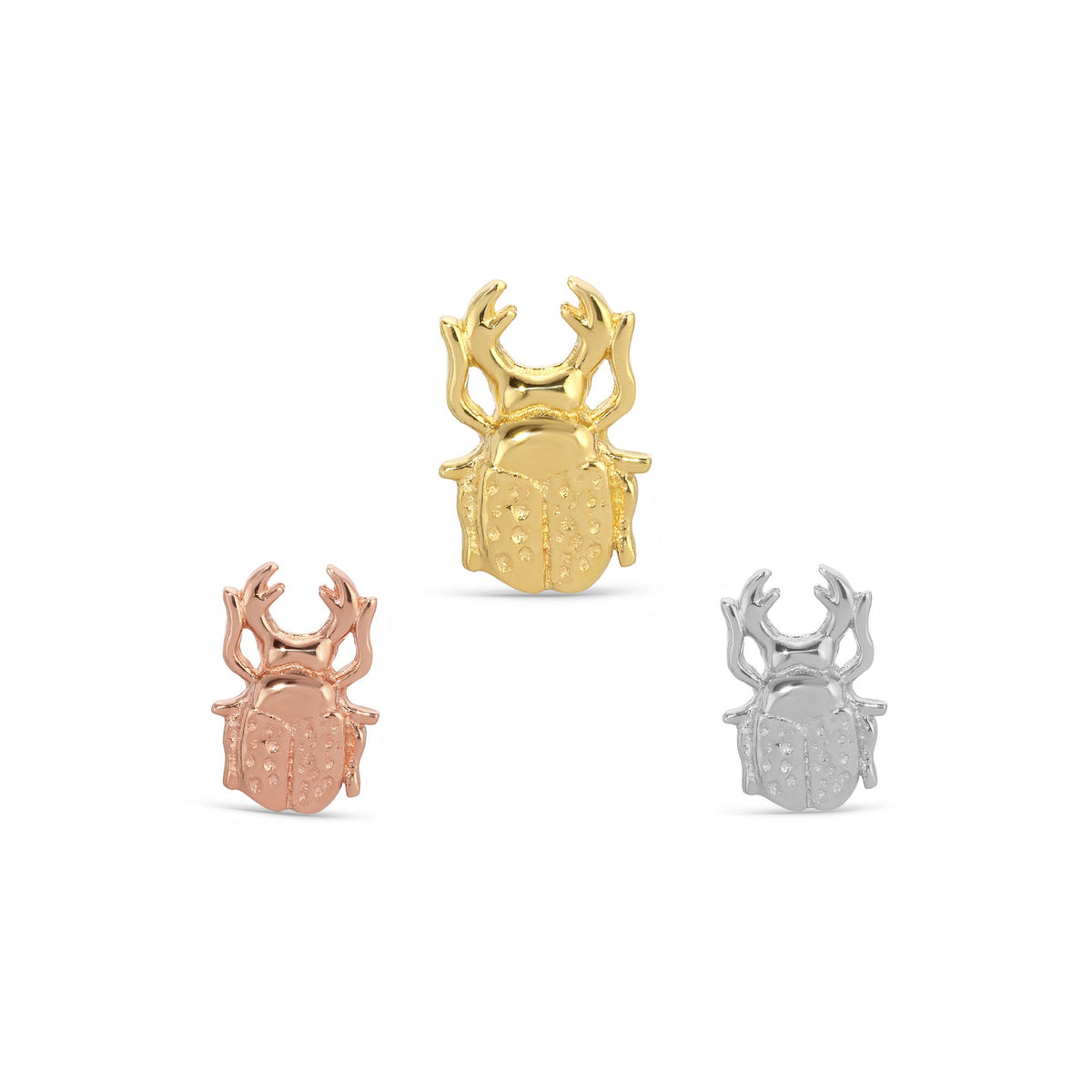 Scarab Beetle by M.US.HROOM
