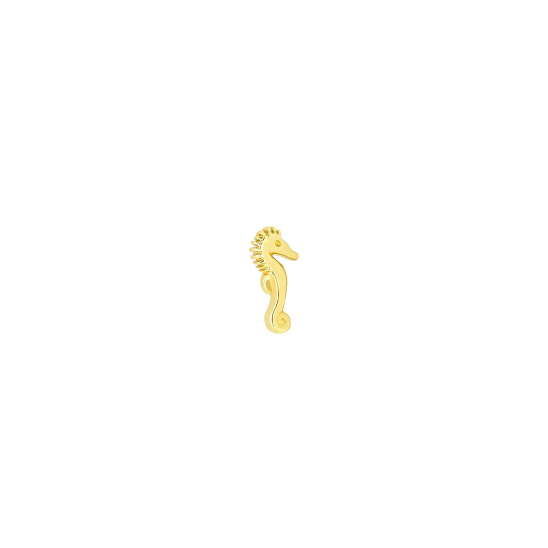 Seahorse by M.US.HROOM