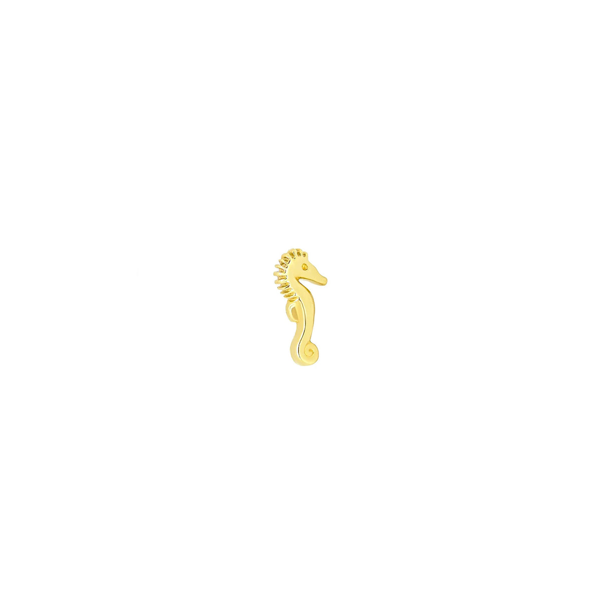 Seahorse by M.US.HROOM