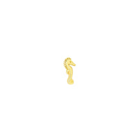 Seahorse by M.US.HROOM