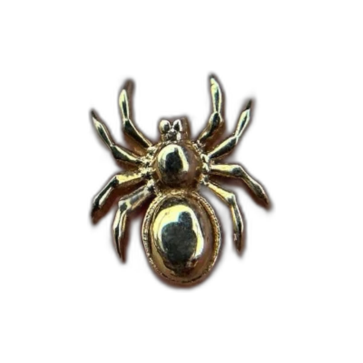 Tarantula by M.US.HROOM — alternate view 2