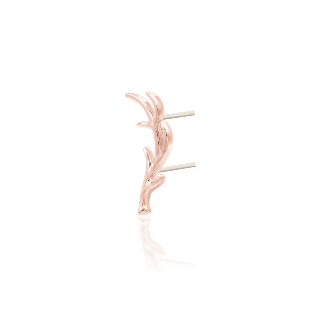 Antler from Junipur — Junipurr