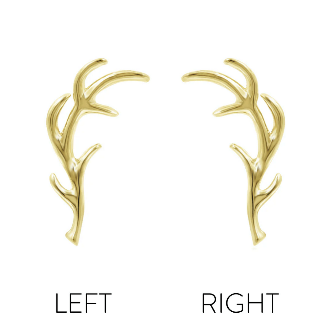 Antler from Junipur