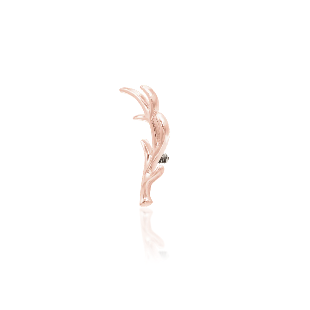 Antler from Junipur — Junipurr