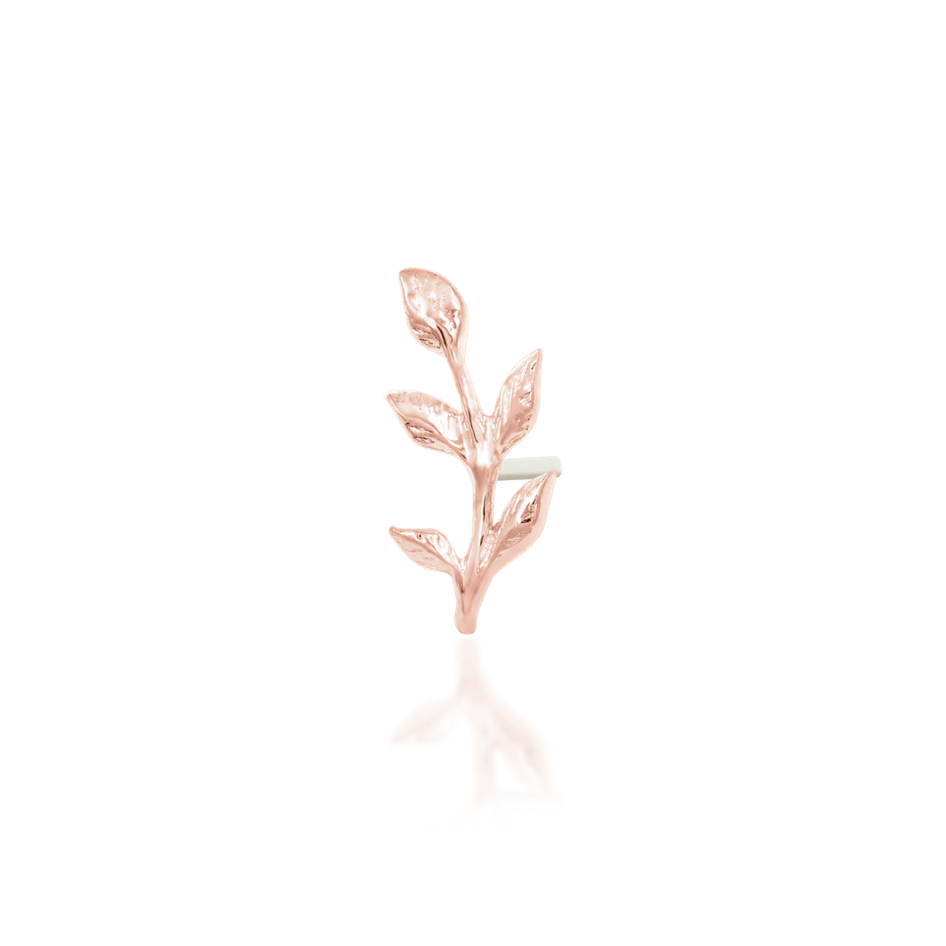 Aspen — Junipurr
