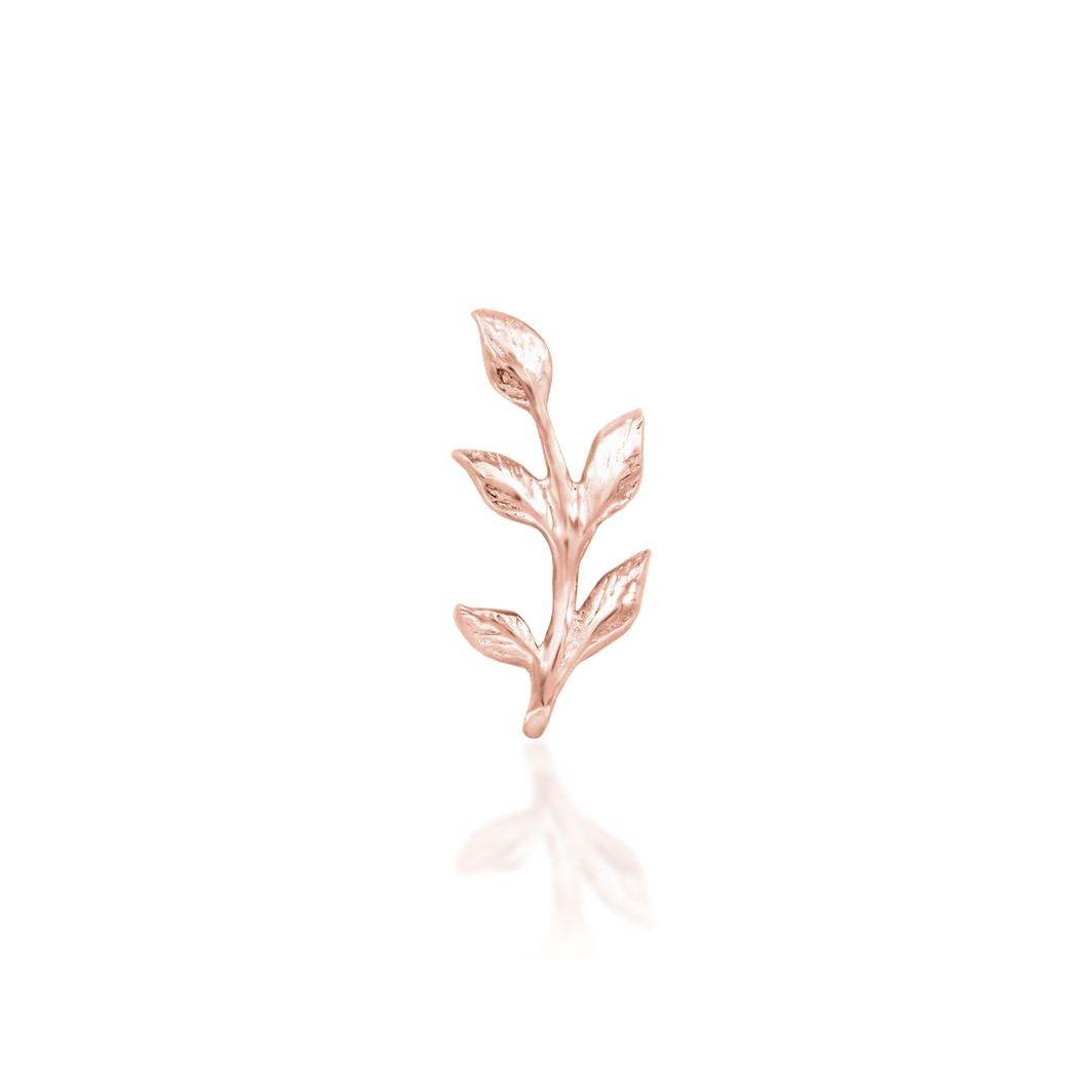Aspen — Junipurr