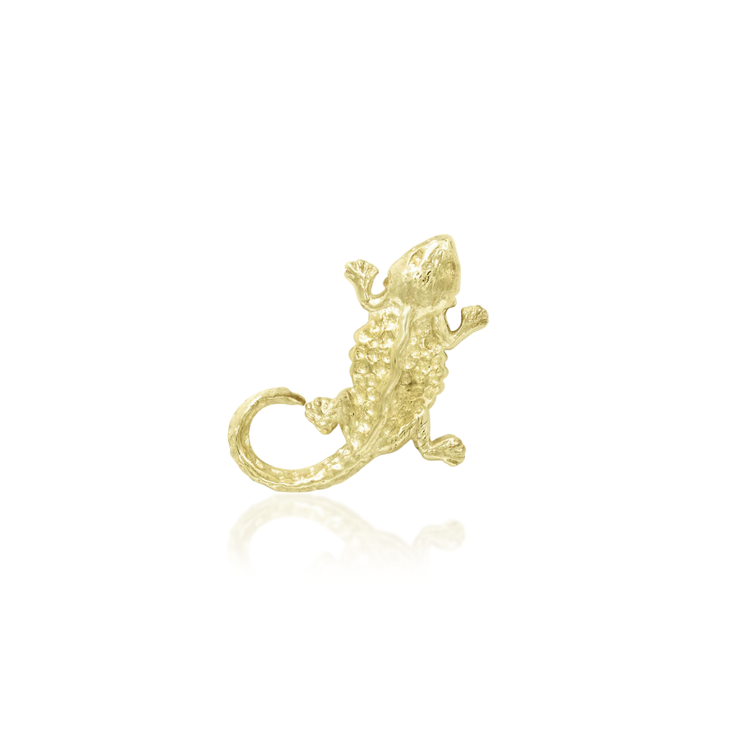 B-Dragon — Junipurr