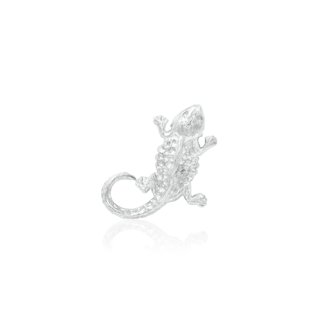 B-Dragon — Junipurr