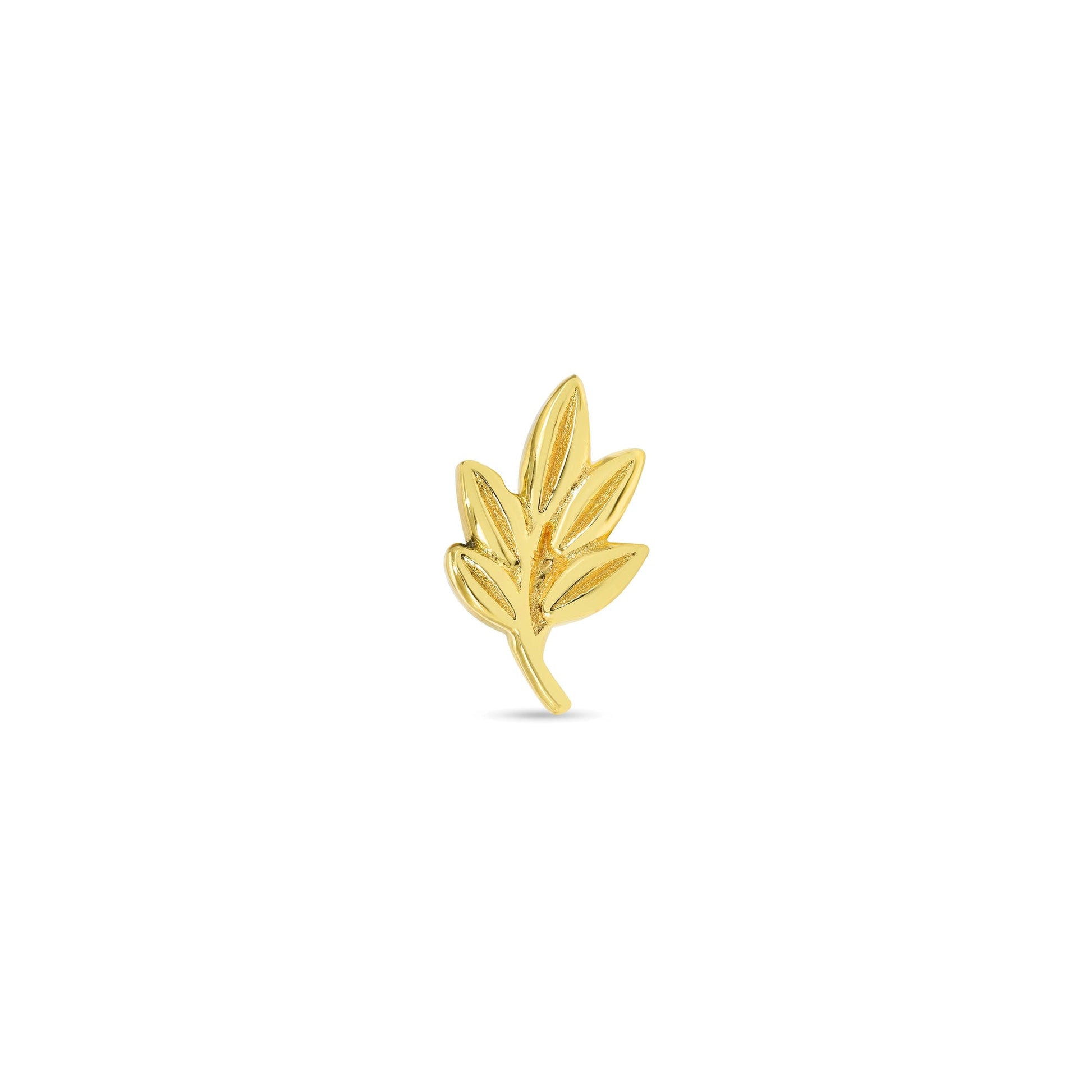 Bay Branch — NorVoch