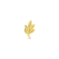 Bay Branch — NorVoch