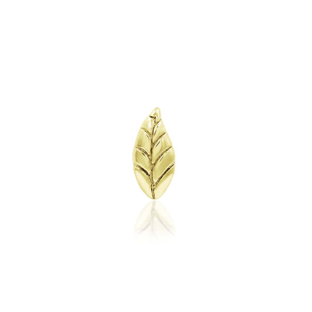 Bay Leaf — Junipurr