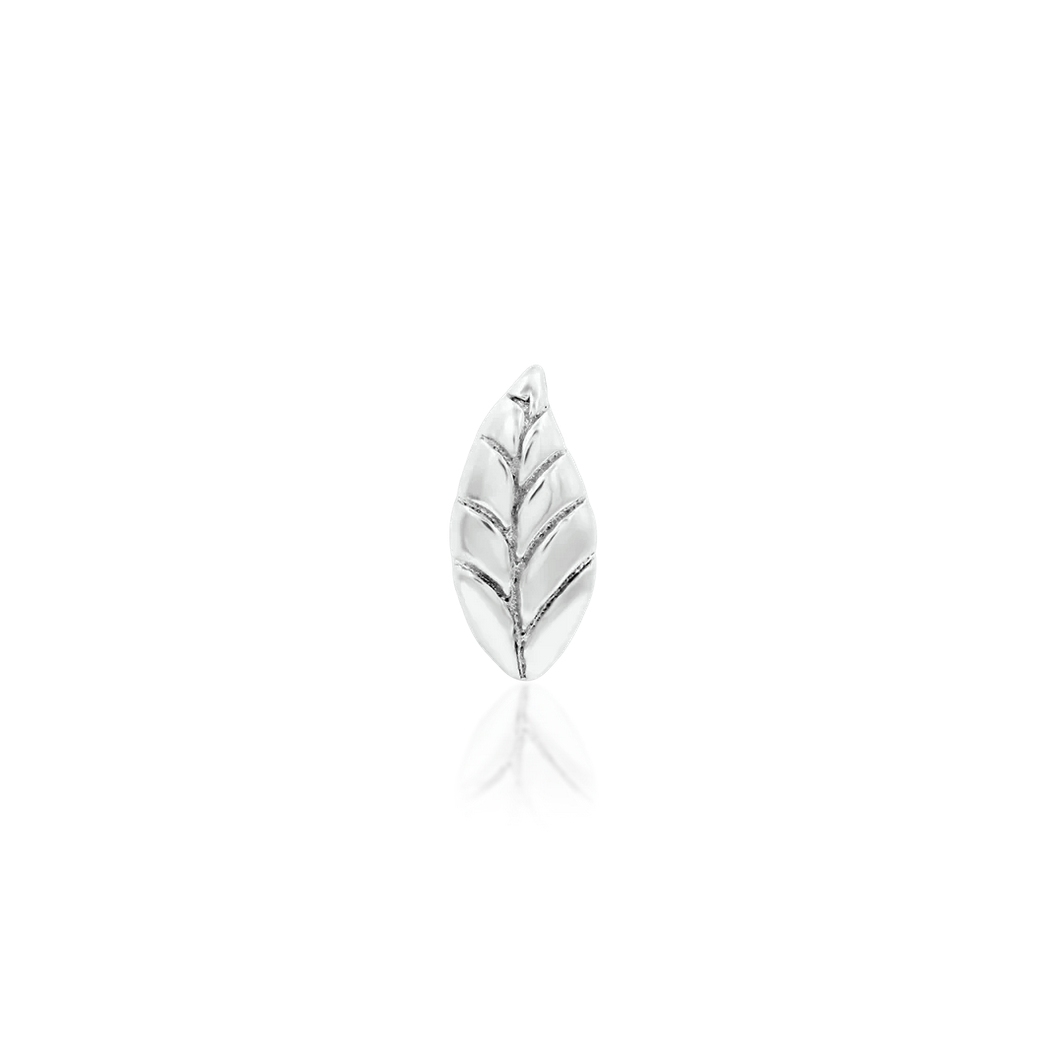 Bay Leaf — Junipurr