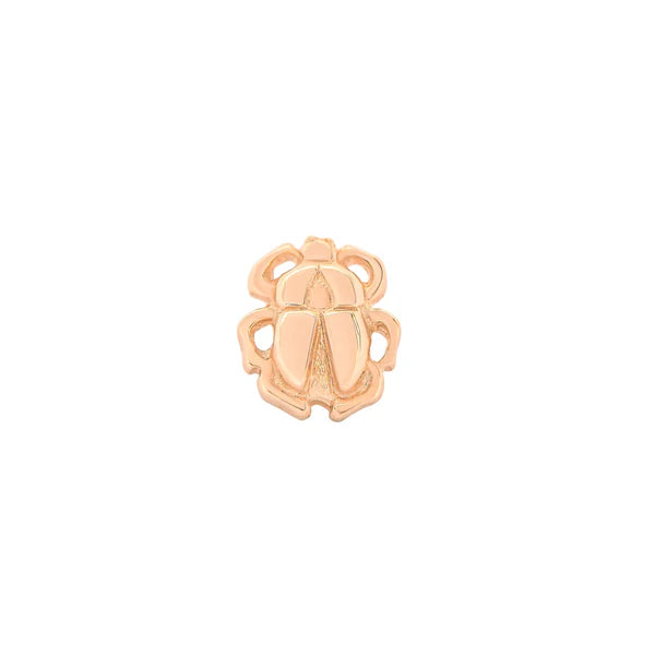 Beetle From Mushroom