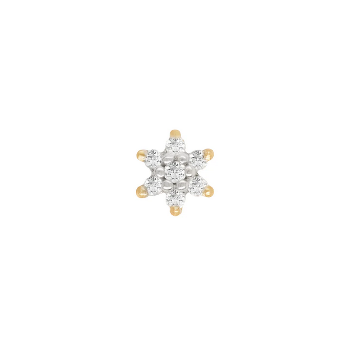 Bloom with Diamond — Buddha