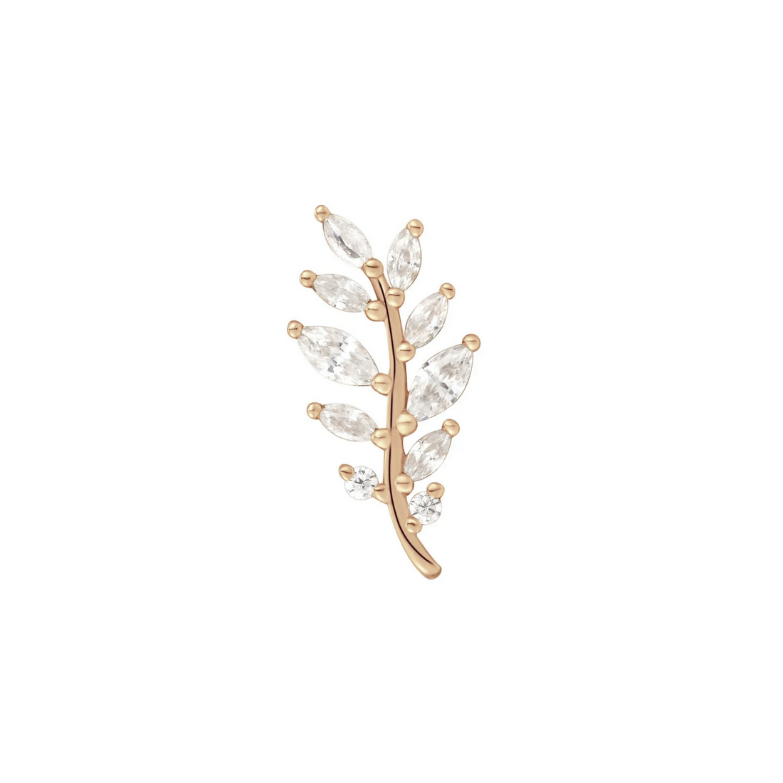 Botaniste with CZ — Buddha