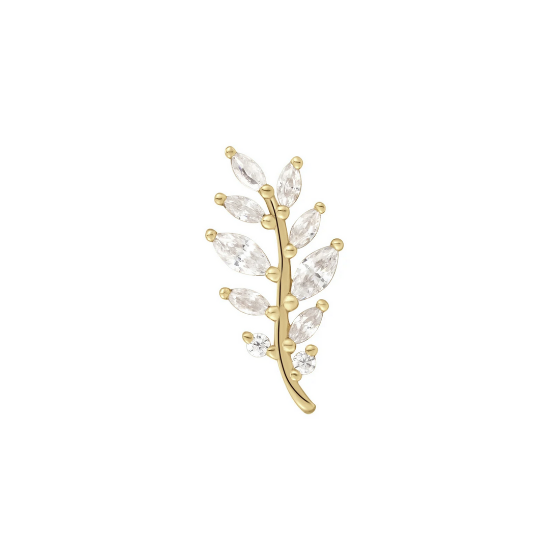 Botaniste with CZ — Buddha