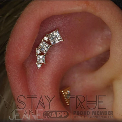Bridget from Junipurr in Rose Gold (Vault)