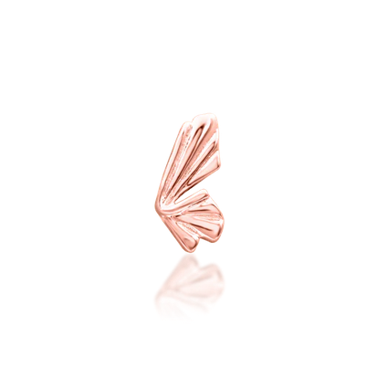 Butterflights — Junipurr