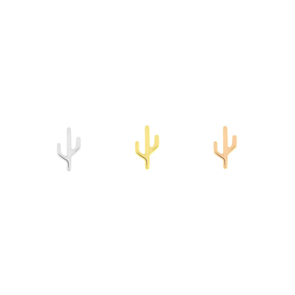 Cactus - Mojave — Modern Mood