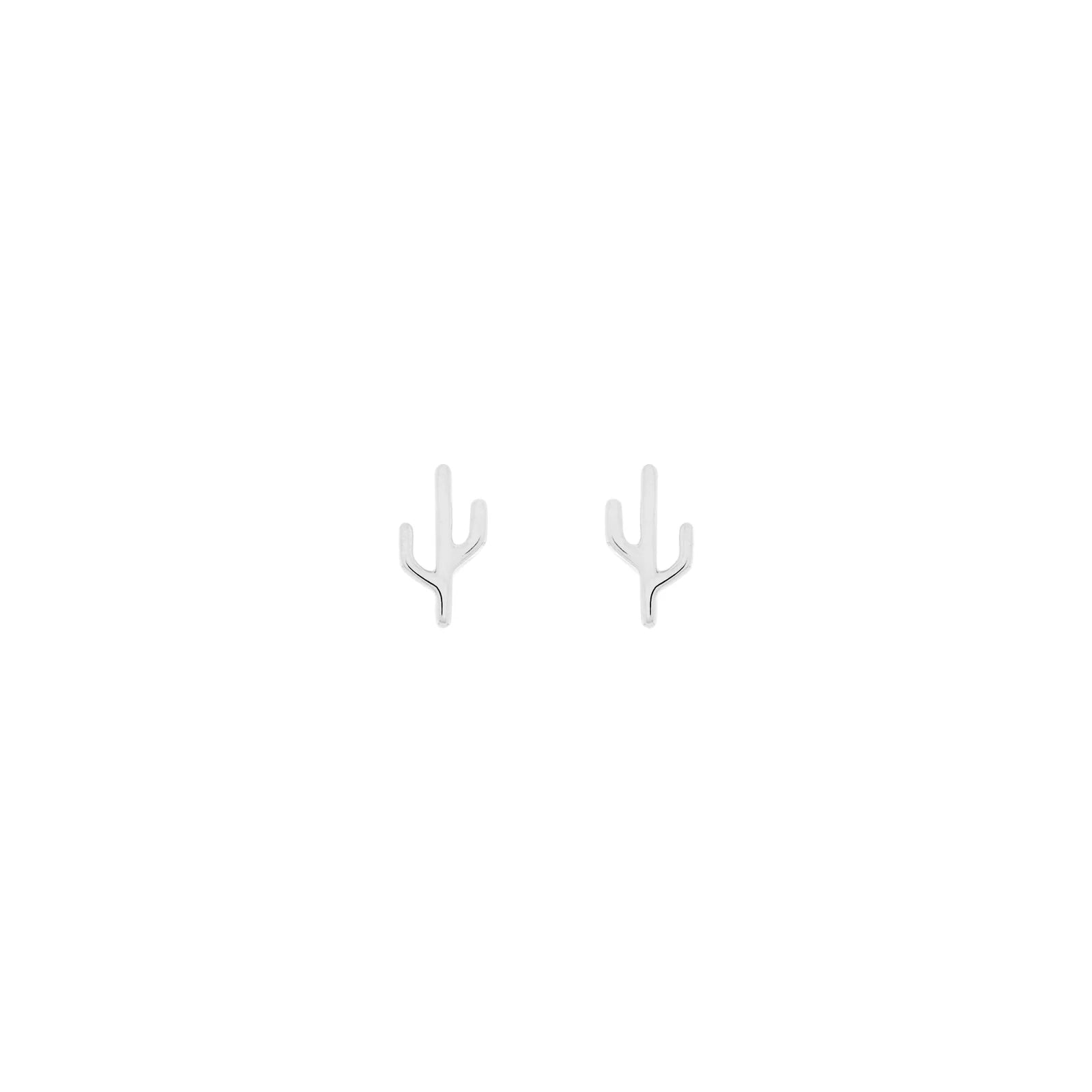 Cactus - Mojave from Modern Mood