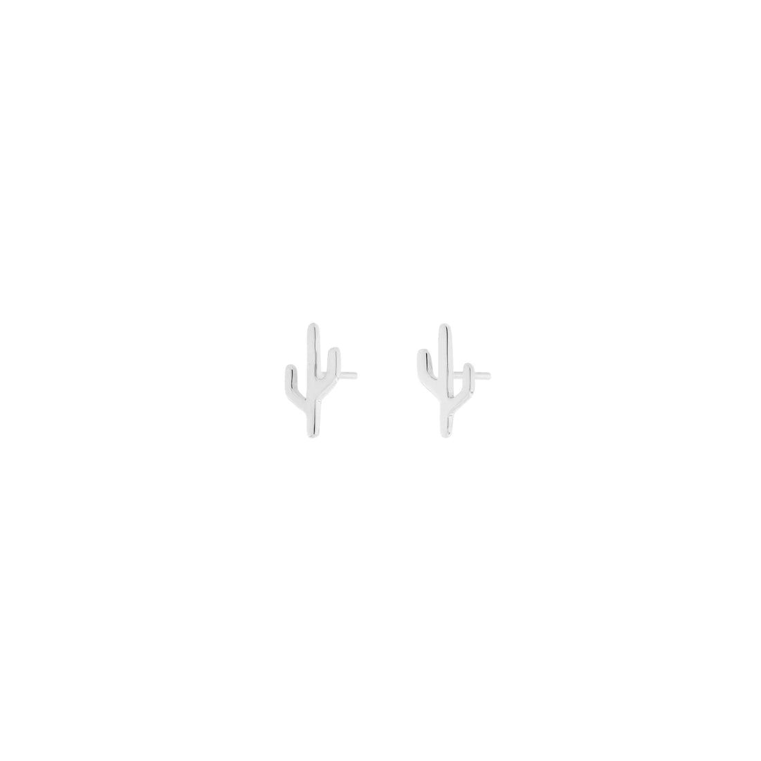 Cactus - Mojave — Modern Mood