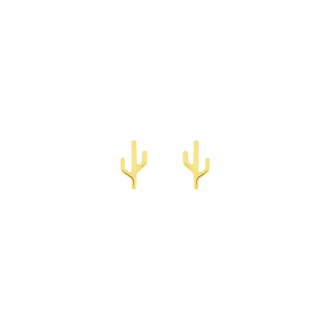 Cactus - Mojave — Modern Mood