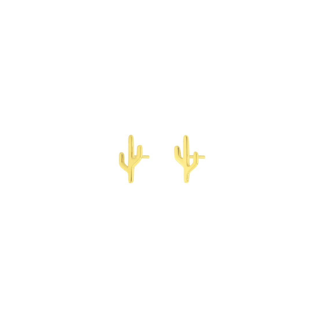 Cactus - Mojave — Modern Mood