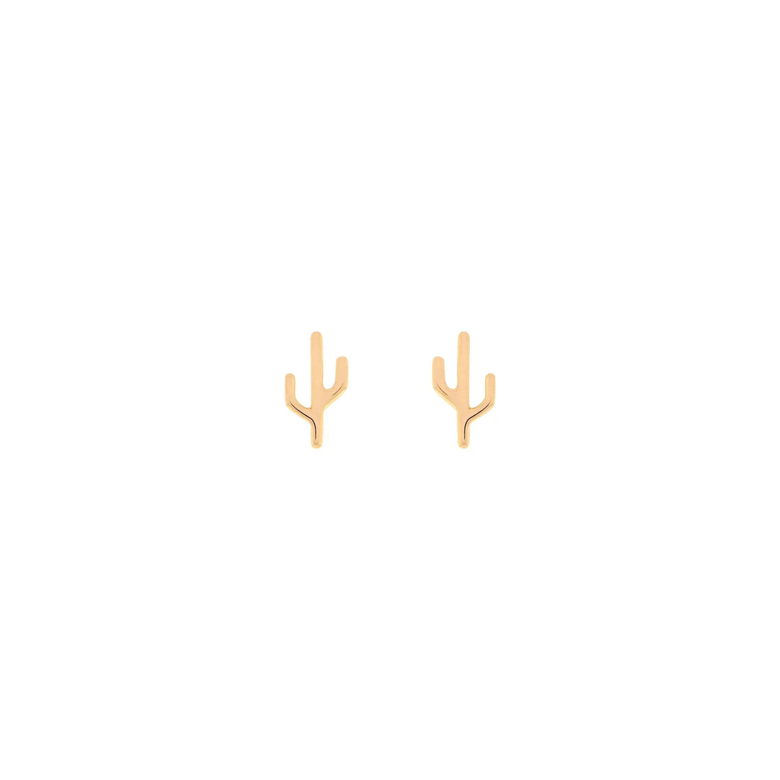 Cactus - Mojave — Modern Mood