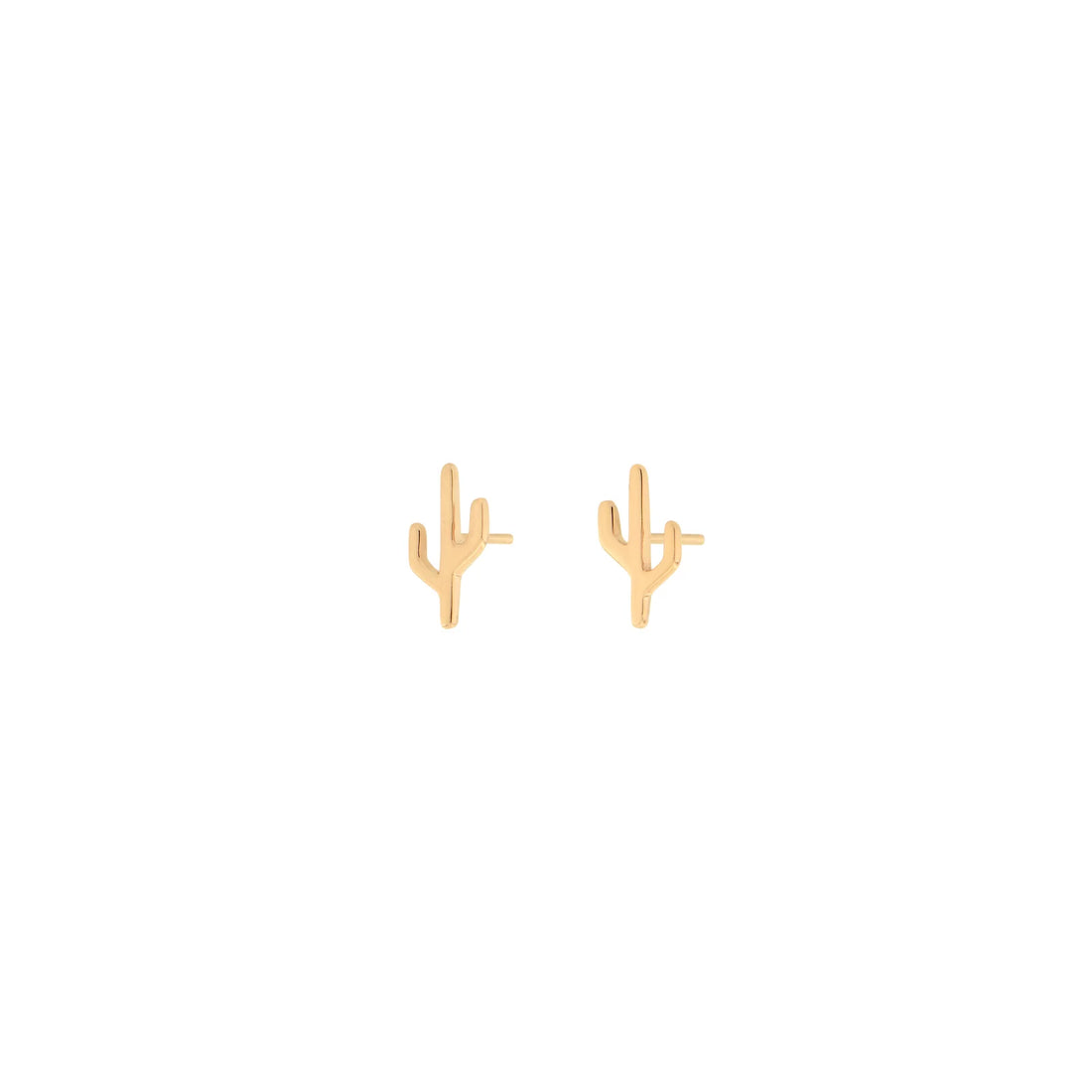 Cactus - Mojave — Modern Mood