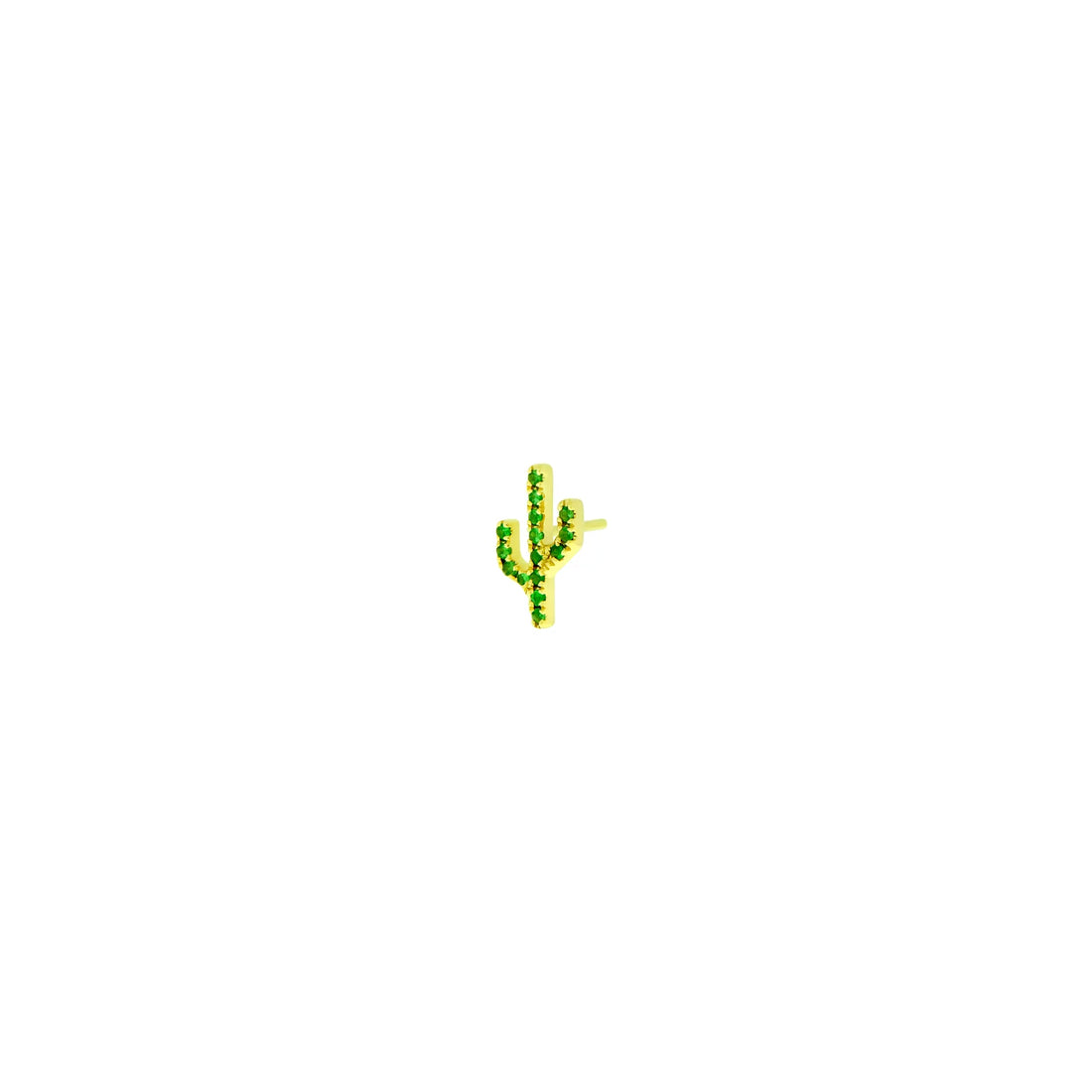 Cactus - Sonoran — Modern Mood