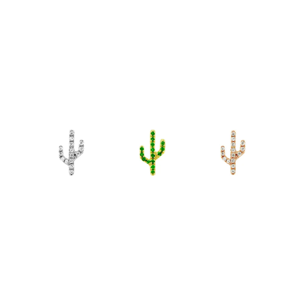 Cactus - Sonoran — Modern Mood