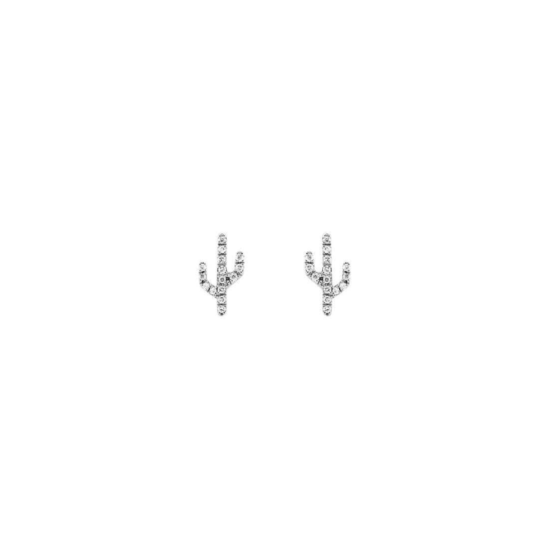 Cactus - Sonoran — Modern Mood