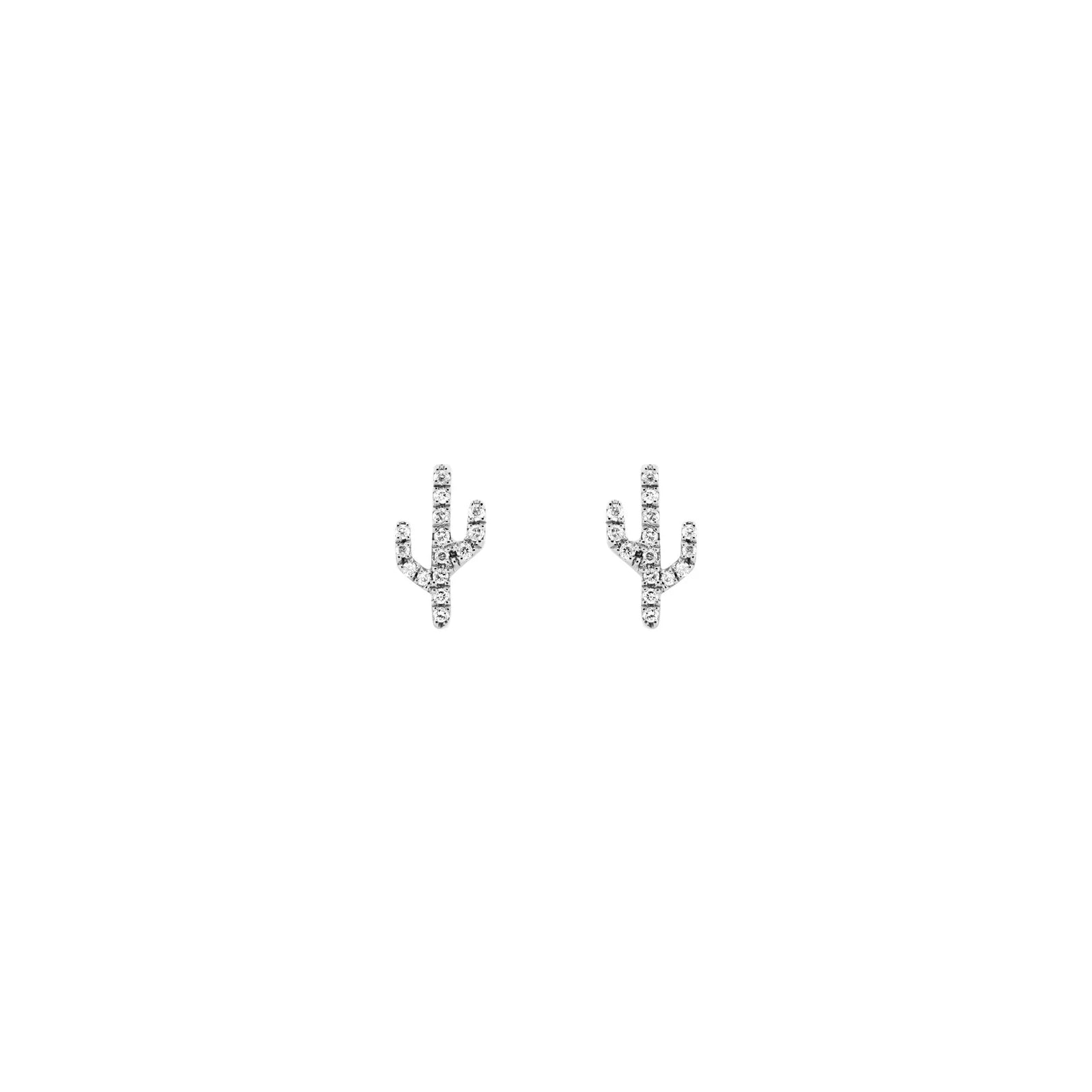 Cactus - Sonoran from Modern Mood