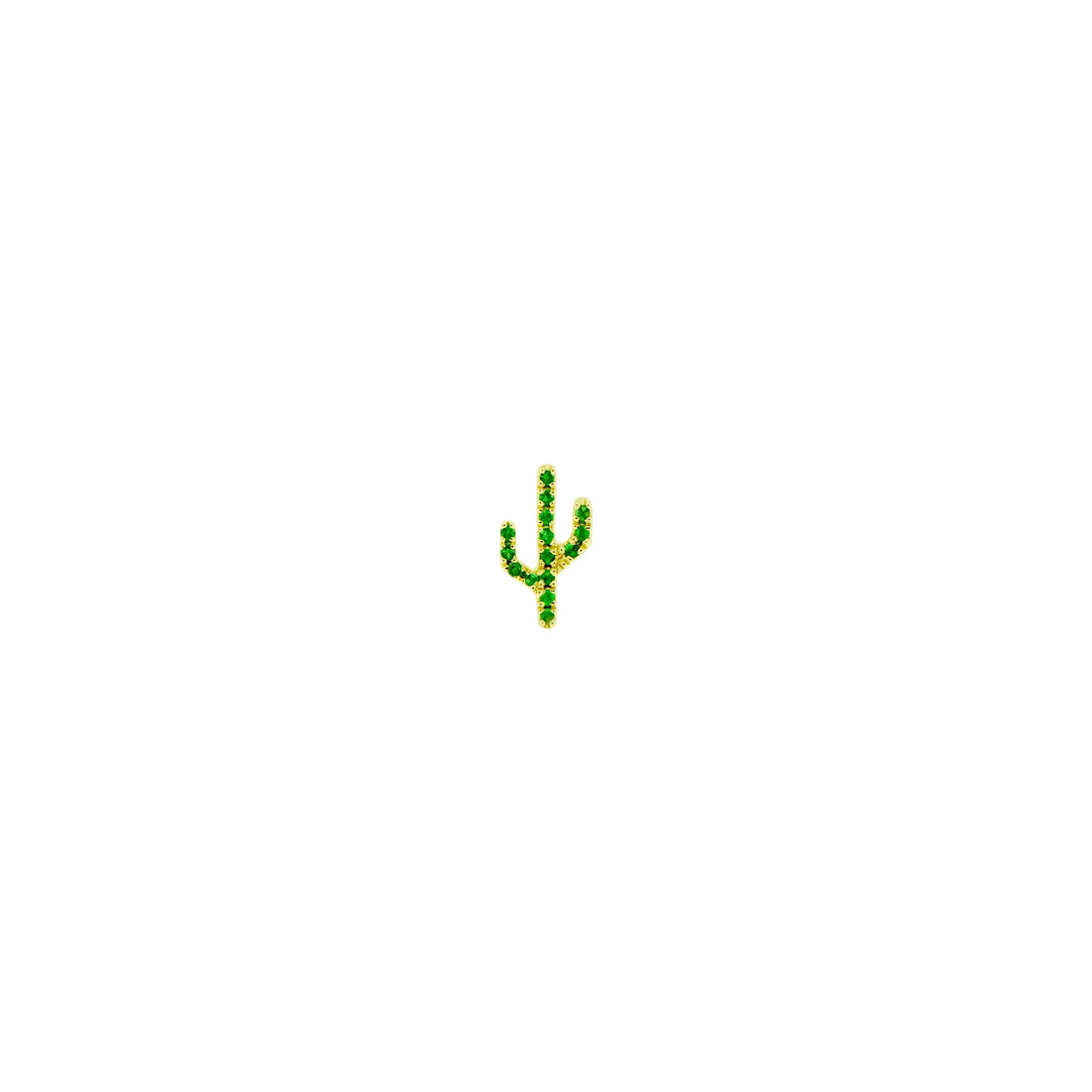 Cactus - Sonoran — Modern Mood