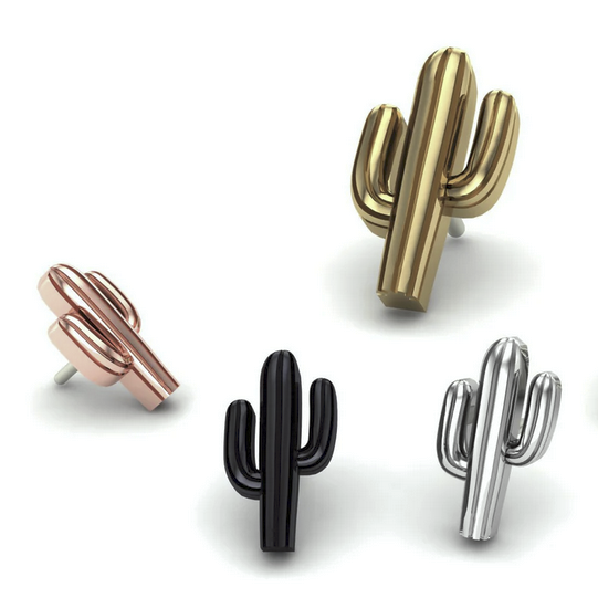 Cactus From Mushroom