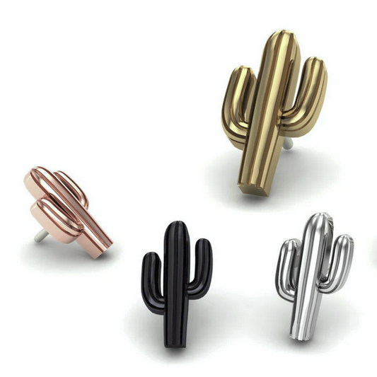 Cactus From Mushroom