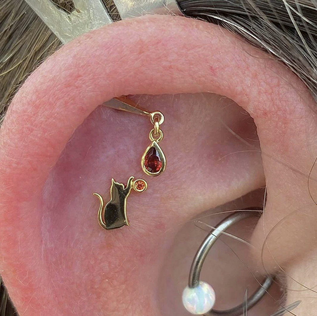 Cat/Laser with Garnet CZ — Junipurr