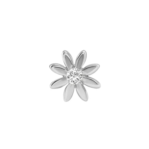 Chamomile Flower from Norvoch