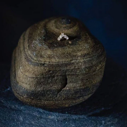 Chevron CZ from Junipurr