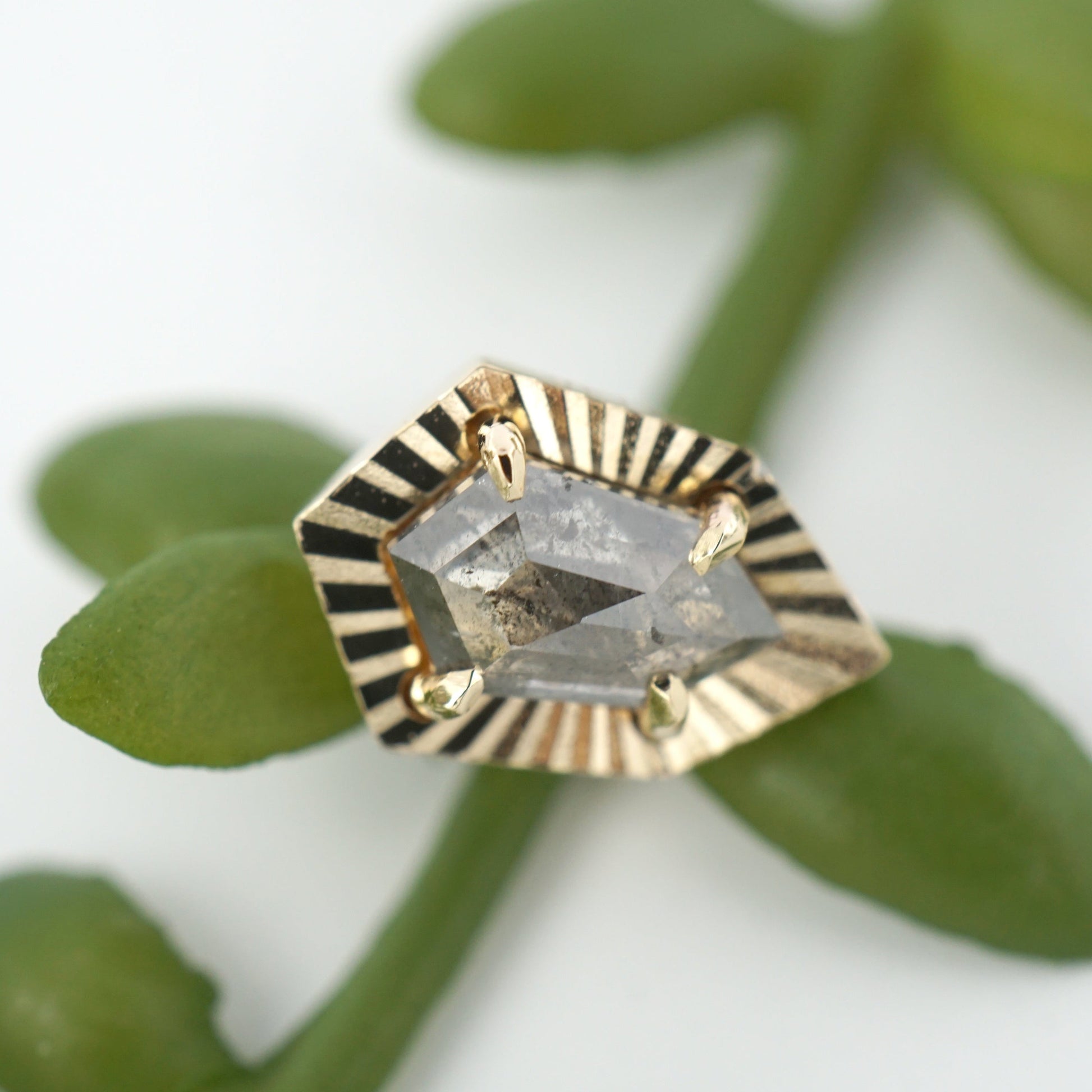Salt and Pepper Diamond with Ray Gold Edge