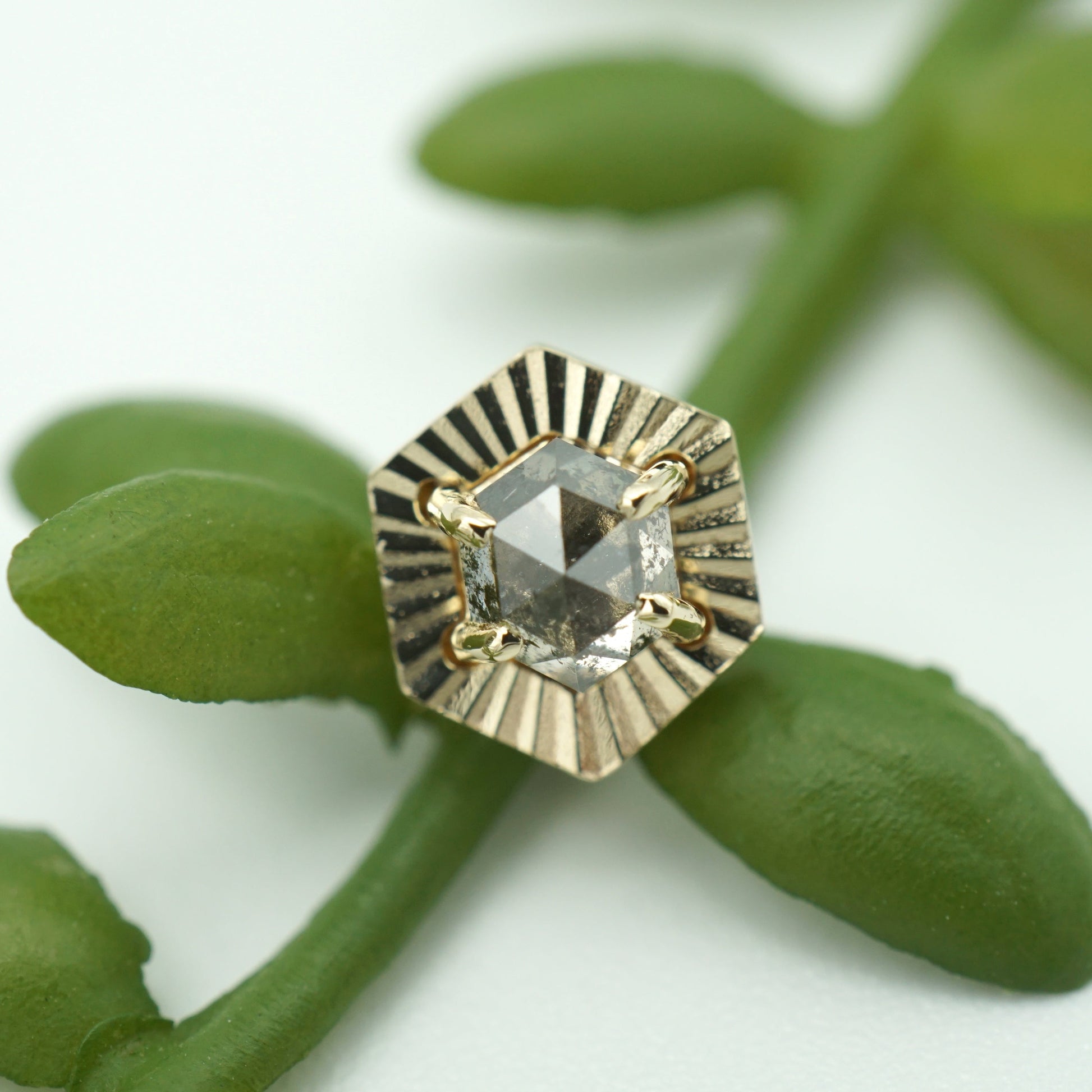 Salt and Pepper Diamond with Ray Gold Edge