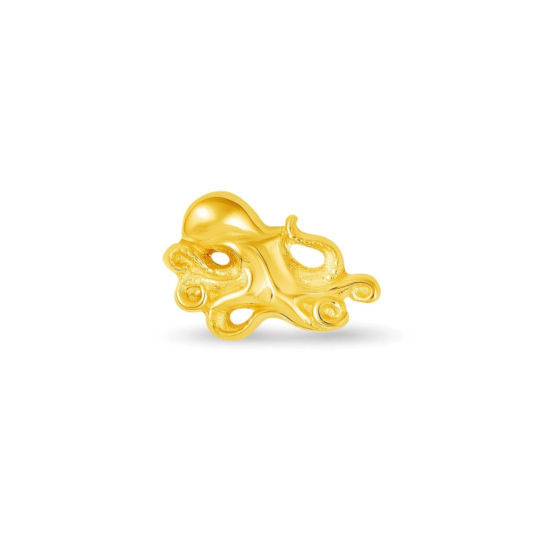 Octopus — NorVoch