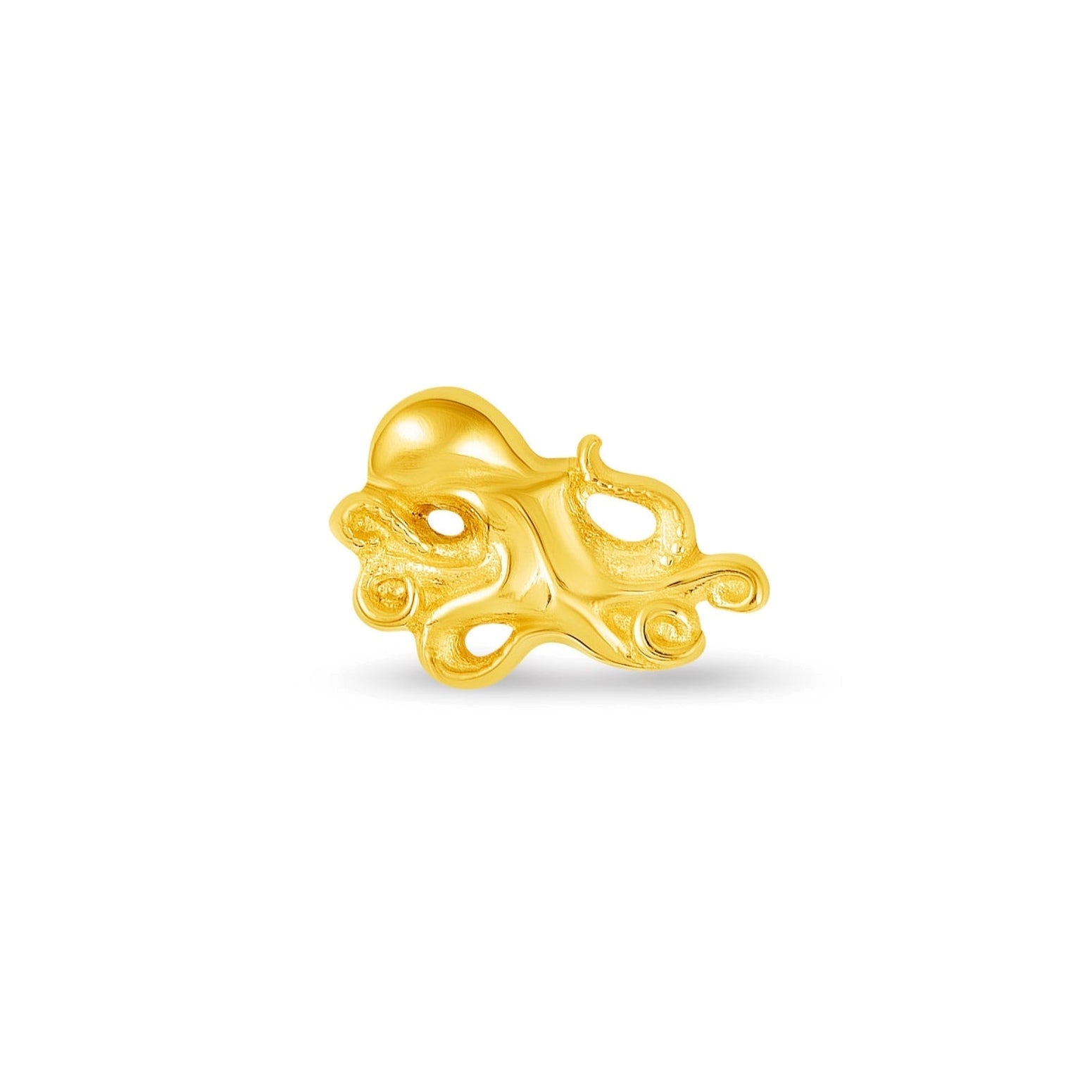 Octopus — NorVoch
