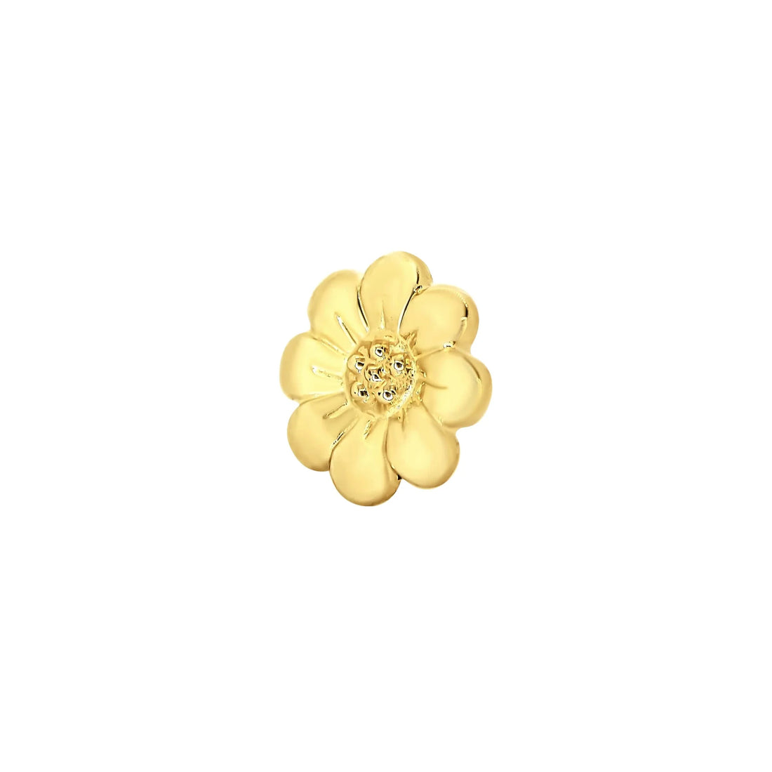 Daisy From Mushroom — M.US.HROOM