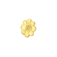 Daisy From Mushroom — M.US.HROOM