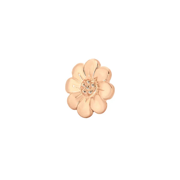 Daisy From Mushroom — M.US.HROOM