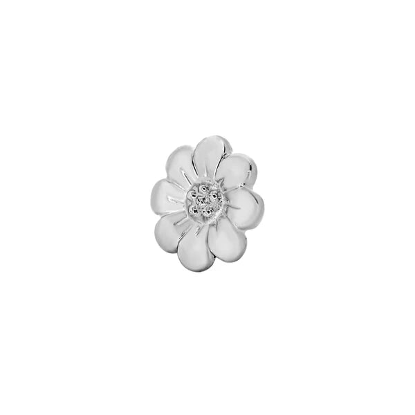Daisy From Mushroom — M.US.HROOM