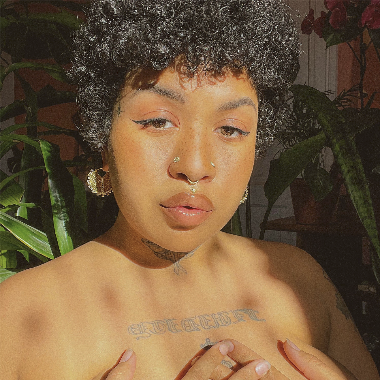Dappled Light Traditional from Maya