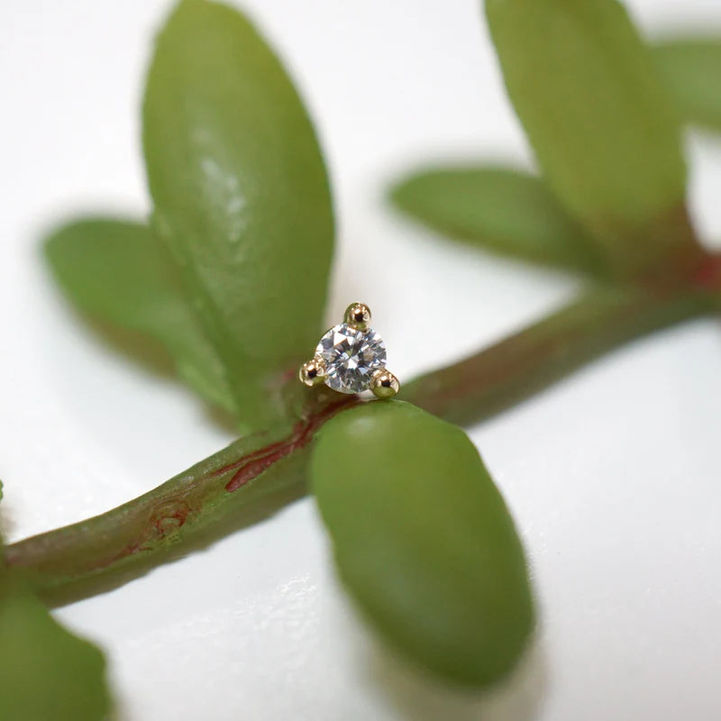 Diamond Round Solitaire Prong — Modern Mood